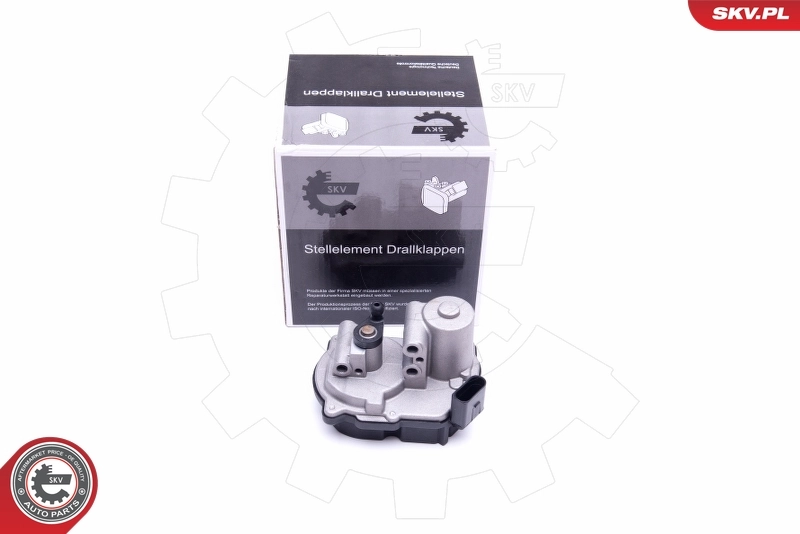 Control, swirl flaps (induction pipe)